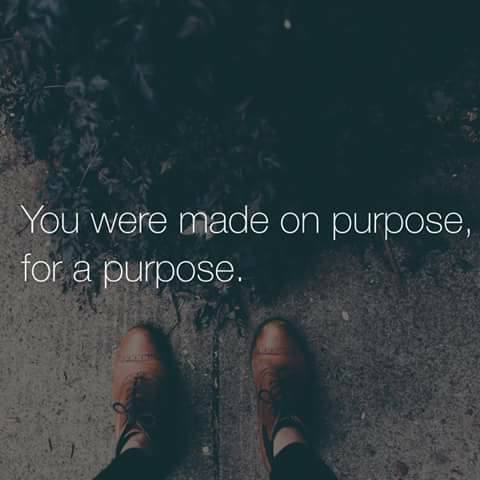 1 Made On Purpose, For A Purpose 