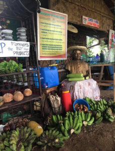 A beautiful array of their organic produce