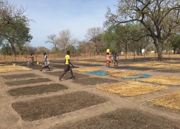 The new OLSH garden at Aluakluak, funded by the Irish Province of the Missionaries of the Sacred Heart.